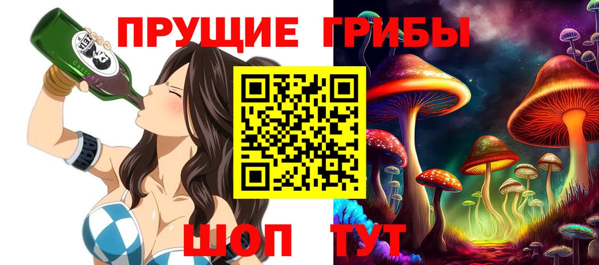Нарткала  Псилоцибиновые грибы прущие грибы  Вход с VPN 