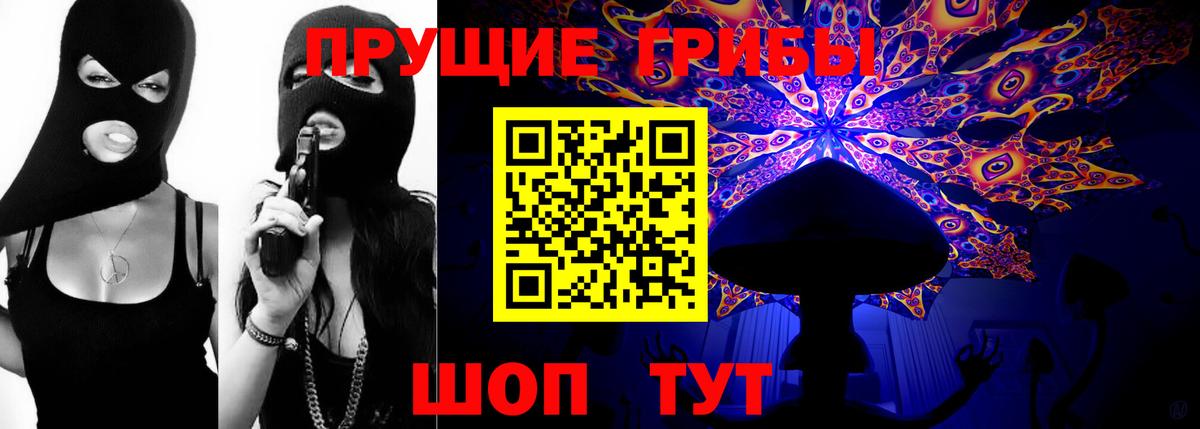 Псилоцибиновые грибы Psilocybe Нарткала